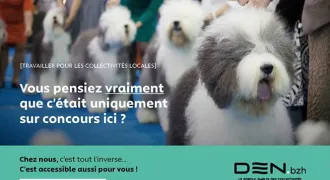 Campagne de publicité pour le site DEN.bzh