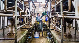 L'agriculture et le paysage en Bretagne