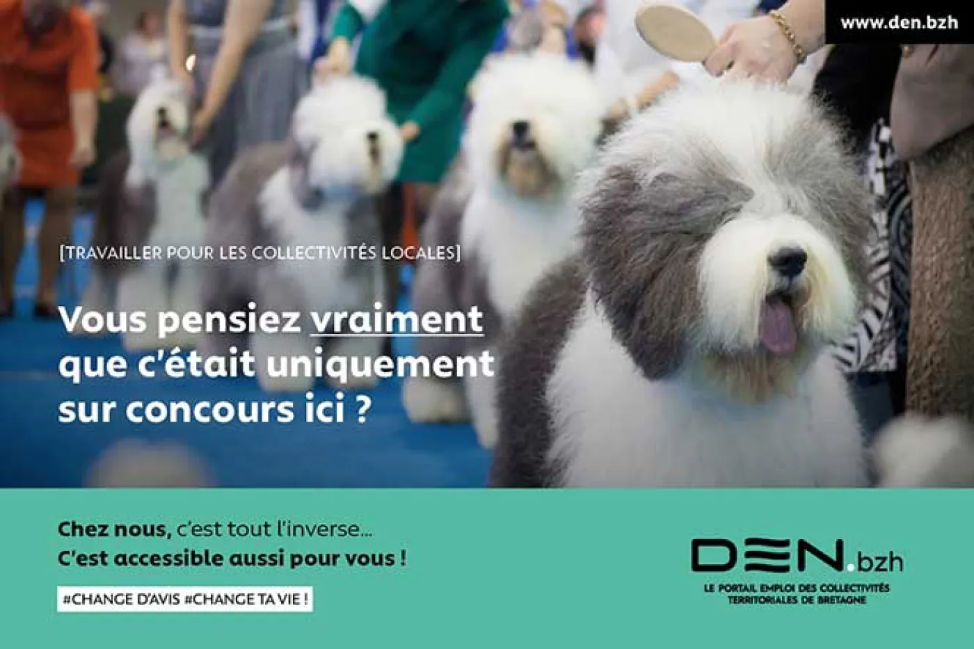 Campagne de publicité pour le site DEN.bzh
