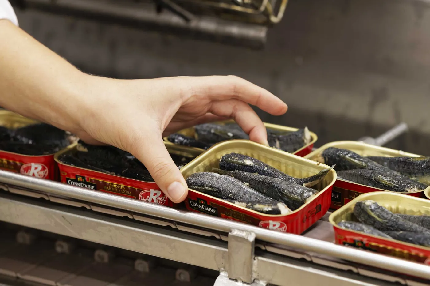 Une main prend une boîte de sardines sur une ligne de production
