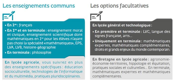 tableau des enseignements communs et des options en bac général