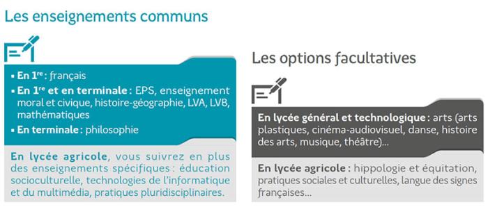Tableau des enseignements communs et des options en bac techno