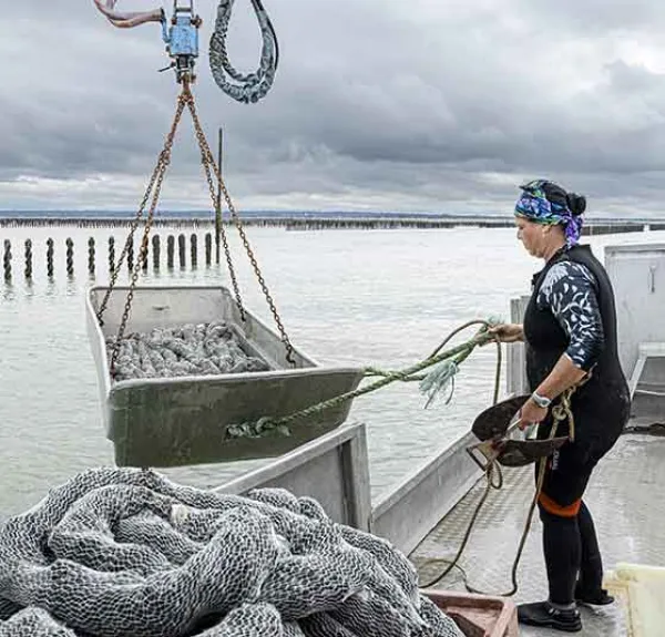 Une mytilicultrice utilise une grue de levage