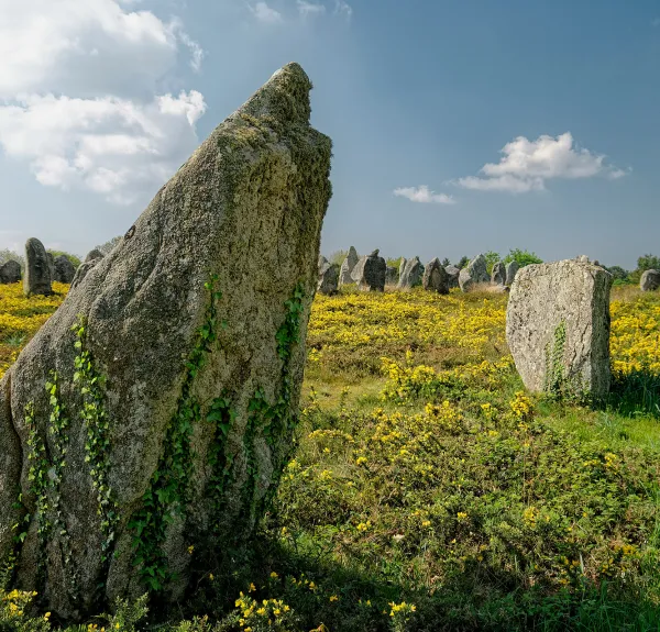 Les alignements de Carnac (56)