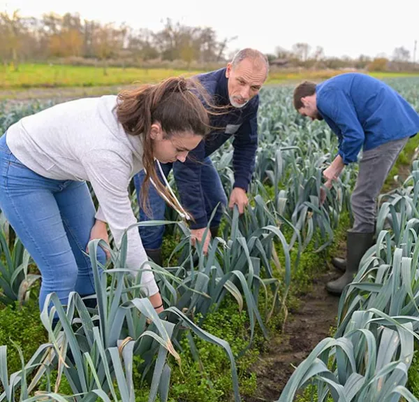 Une jeune élève regarde une récolte de poireaux à côté de l'agriculteur