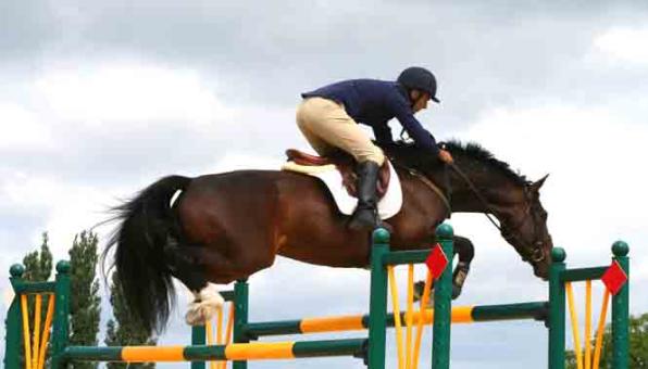 Jockey et son cheval faisant du saut d'obstacle