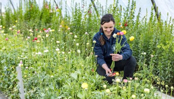 Une horticultrice au travail.
