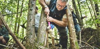 Un technicien forestière marque un arbre