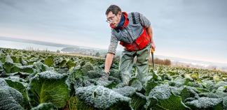 François Renoul, chef de cultures maraichères à Saint-Suliac (35)